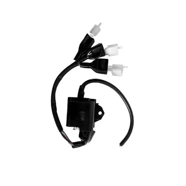 D04373-CDI-W-ET-COIL-FOR-JUPITER-BS3-WITH-WIRE-1024x1024-1.webp Cdi With et Coil For Jupiter Bs3
