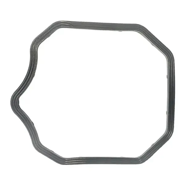 D04443_O-RING-CYLINDER-HEAD-FOR-DISCOVER-100 O Ring Cylinder Head For Discover100 product image