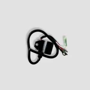 NAA0304-1024x1024-1.webp Cdi With coil Champ 60