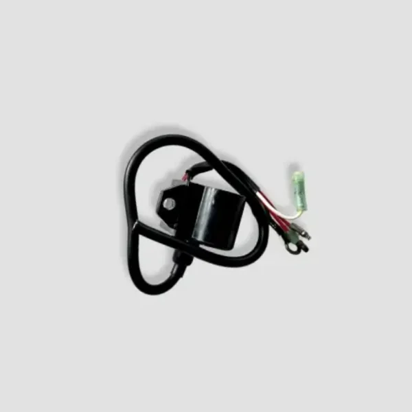 NAA0304-1024x1024-1.webp Cdi With coil Champ 60