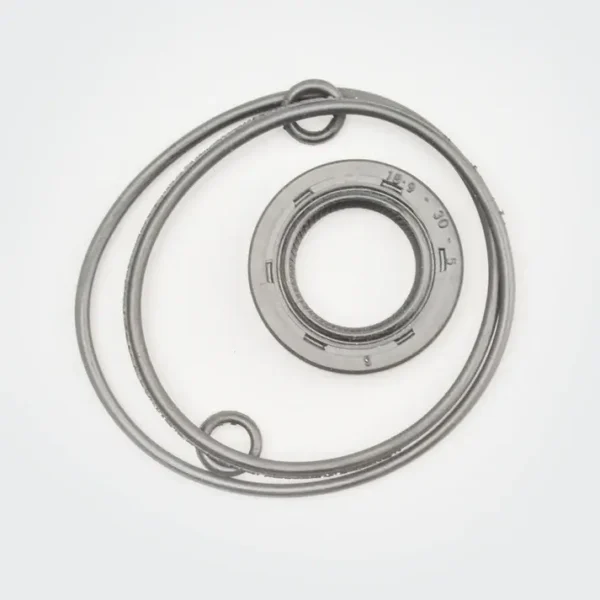 NAJ0675-DSC_0292 Magnet Oil Seal w o ring Kit Hh product image