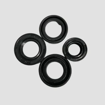 NAN0495-400x400 Oil Seal Kit Xl100 product image
