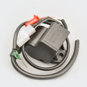 NAP0343-DSC_9246 Cdi W etcoil Victor Glx es product image