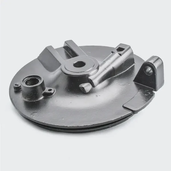 NAQ0782-DSC_0271 Hub Plate f blk Shine product image