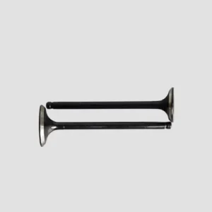 NAQ1053 Valve Set Activa 6g product image