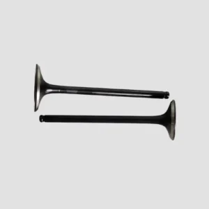 Valve Set Hornet product image