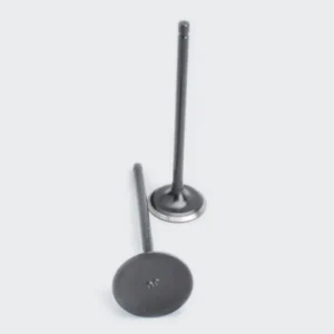 Valve Set Pulsar 180 Dtsi product image