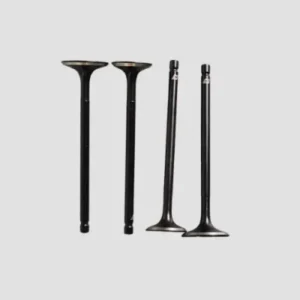 NAS0378-400x400 Valve Set Rtr200 product image