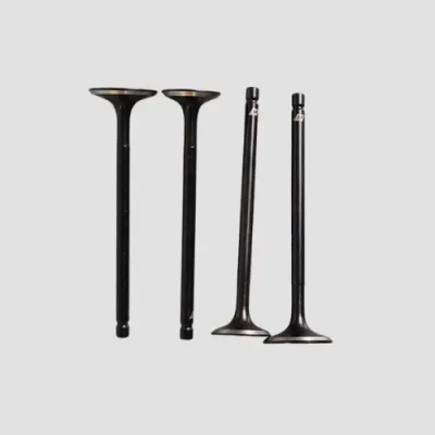 NAS0378-400x400 Valve Set Rtr200 product image