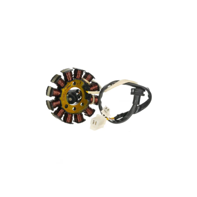 SAS057-400x400 Stator Plate Assy 12 Pole TVS Apache Rtr 160 4v Bs4 product image