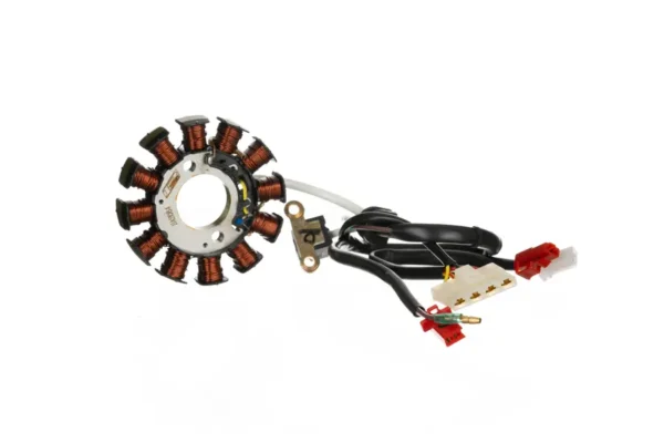 SAS064 Stator Plate Assy 12 Pole TVS Star City Plus Phoenix Bs4 product image