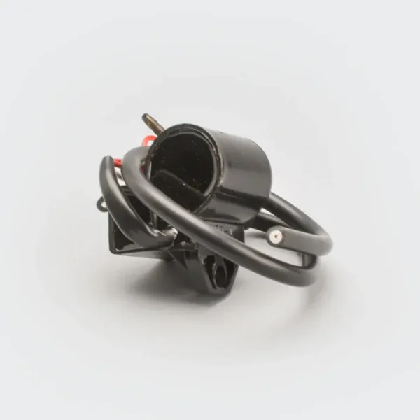 naa0455-DSC_7359-1024x1024-1.webp Cdi With coil Champ 60