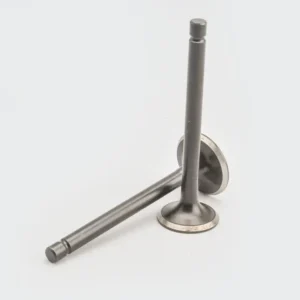 nai0164-DSC_2042 Valve Set 4s ct100 platina boxer caliber product image