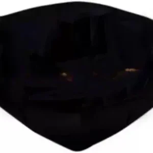 ultra-visor-glass-for-maestro-old Visor Glass For Maestro Old