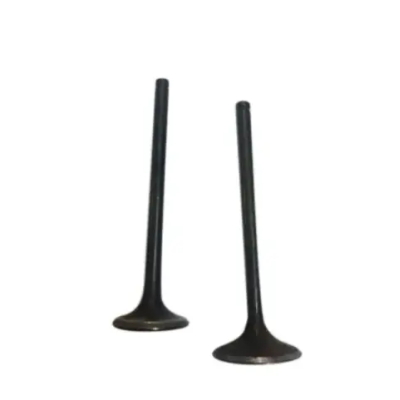 Valve Set 01471kte910 Honda Shine product image