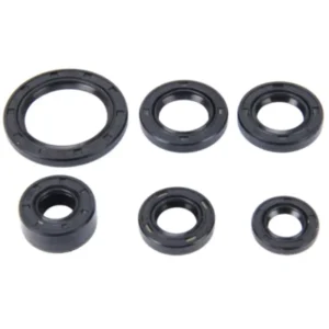 09120K1ED01-400x400 Oil Seal Kit 09120k1ed01 Honda Cd 110 Bs6 product image