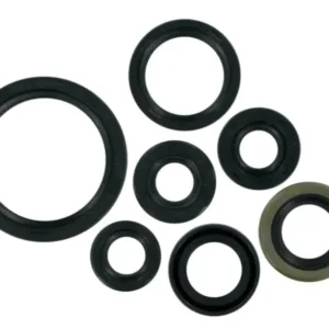 1324910 Engine Oil Seal Kit 2s Mcy 1324910 Tvs Max100r 100 product image