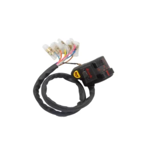 DEUS-0551A-400x400 Combination Switch For Hero Passion lh product image