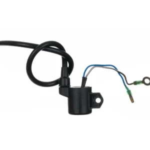 ICA411 Ignition Coil TVS Victor Gl Centra product image