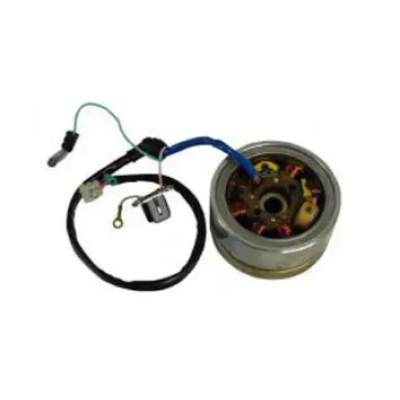 K2060010-400x400 Magneto Assembly Bs4 Jup Weg K2060010 Tvs Ntorq 125 product image