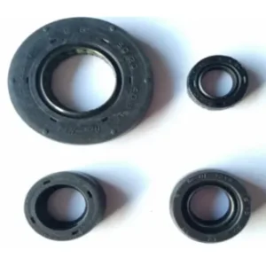 M7321580-400x400 Oil Seal Kit Apache M7321580 Tvs Apache Rtr 160 product image