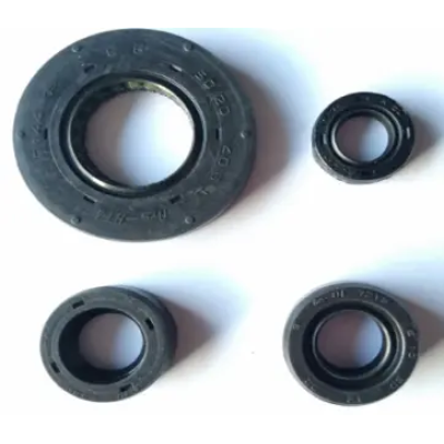 M7321580-400x400 Oil Seal Kit Apache M7321580 Tvs Apache Rtr 160 product image