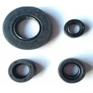 N2200550-400x400 Oil Seal Crankshaft R N2200550 Tvs Victor Gx 100 product image