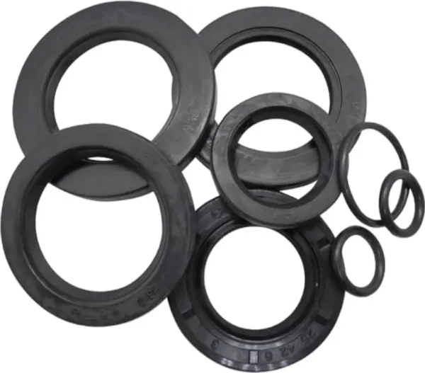 N5322350 Kit Engine Oilseal N5322350 Tvs Phoniex 125 product image