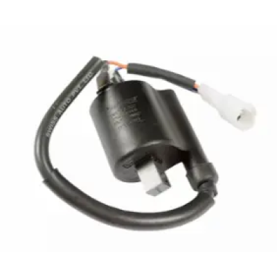 N6060260-400x400 Ignition Coil N6060260 Tvs Raider 125 product image