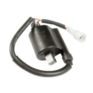 N6060340-400x400 Ignition Coil Assembly N6060340 Tvs Raider 125 product image