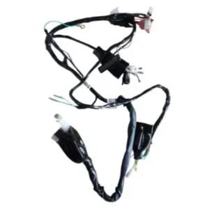 N6161800-400x400 Wiring Harness 2 N6161800 Tvs Raider 125 product image