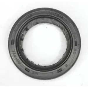 N6200010-400x400 Oilseal 30 20 6 N6200010 Tvs Raider 125 product image