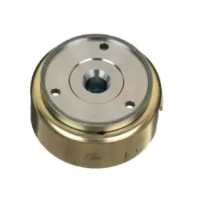 Rotor Assembly Star City Es N8060390 Tvs Star City 100 product image