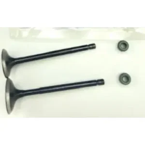 N9323810-400x400 Kit Valve Inl Exh Apa 160 N9323810 Tvs Apache Rtr 160 product image