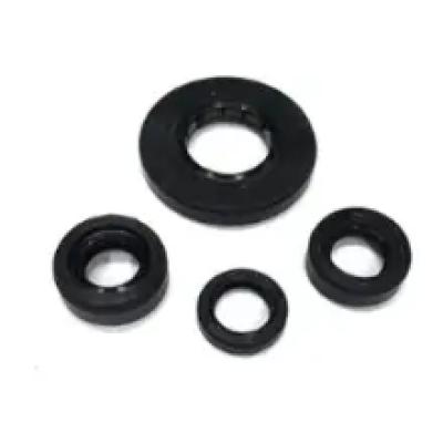 N9325440-400x400 Kit Engine Oilseal N9325440 Tvs Apache Rtr 4v 160 product image