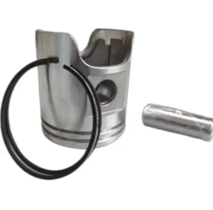 P010540 Ring Piston Dia 46 00 P010540 Tvs Xl Super 75 product image