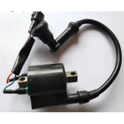 P7060030-400x400 Ignition Coil P7060030 Tvs Xl 100 100 product image