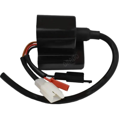 P7060100-400x400 Ignition Coil Assembly P7060100 Tvs Xl 100 100 product image