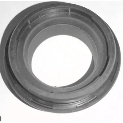 R1100390-400x400 Dust Seal R1100390 Tvs Wego 110 product image
