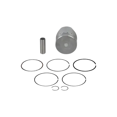 bajaj-avenger-old-model-220-cc-pisston-assembly-no-75-standard Piston Assembly for Bajaj Avenger 220cc