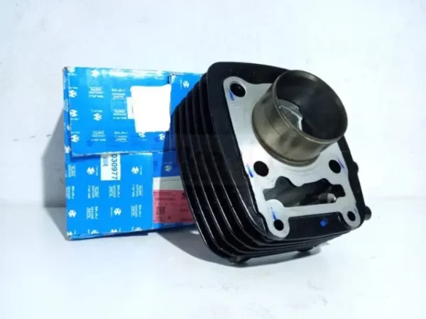 bore-kit-cylinder-kit-for-pulsar-150-ug4-bs3-model-genuine Pulsar 150 UG4 BS3 Cylinder Bore Kit Genuine