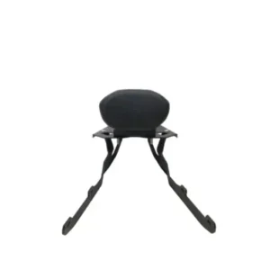 Carrier Plate Backrest for Duke 250 390 BS6