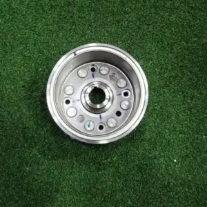 Magnet Assembly for Duke 125 BS6