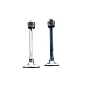 Bajaj Dominar 400 Valve Set 2 Valves