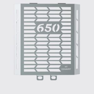 Interceptor 650 Radiator Guard Stainless Steel