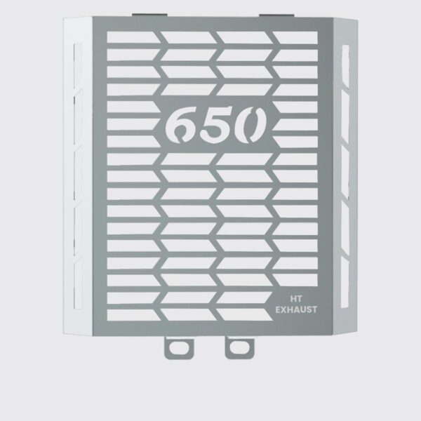 gt-650-interceptor-650-radiator-gaurd-ss-sb-978 Interceptor 650 Radiator Guard Stainless Steel