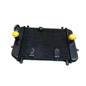 Radiator Assembly for Jawa 42