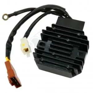 RC 390 Regulator