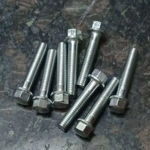 Engine Screw Kit for Victor