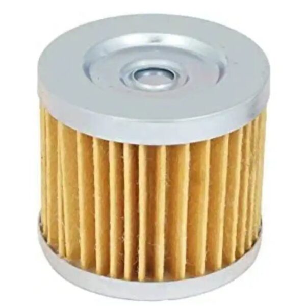 Oil Filter for Renegade 300